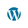 WordPress expert services by Wael Almir