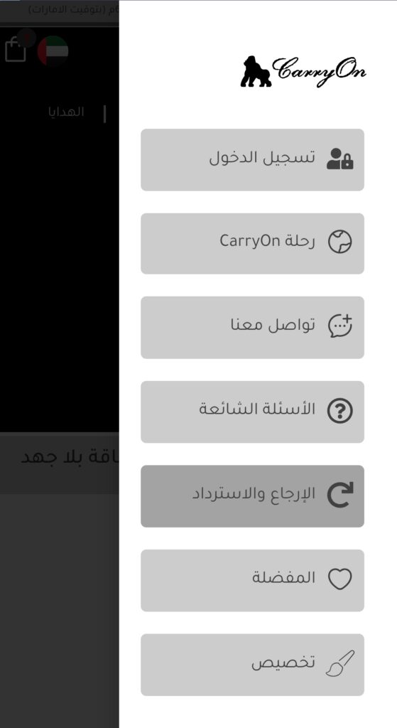 CarryOn fashion ecommerce